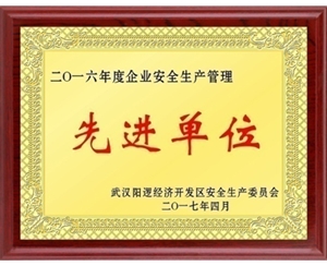 先進(jìn)單位